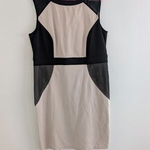 Studio One Black and Cream Colorblock Midi Dress